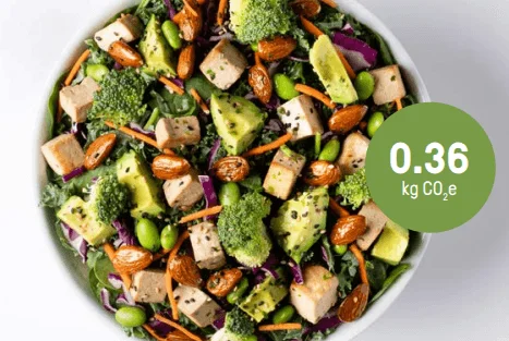 just salad