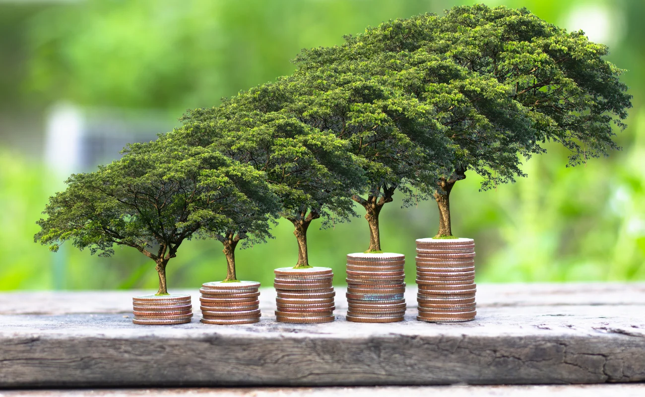 Finanza sostenibile
