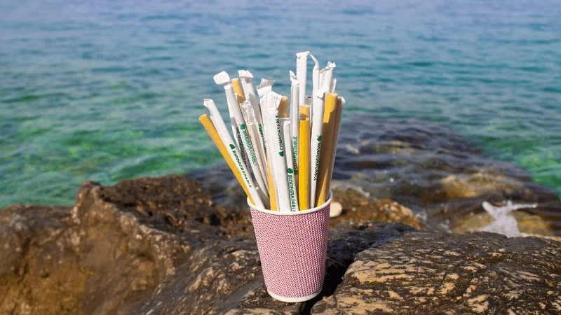 bioplastiche