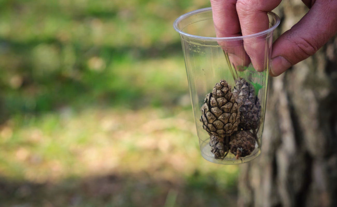 bioplastiche