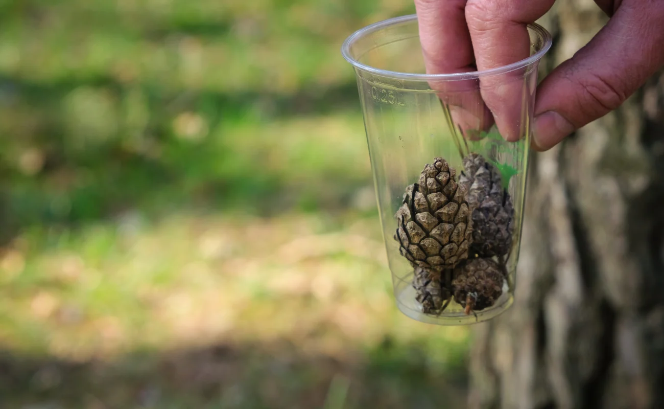bioplastiche