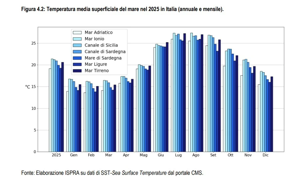 temperature mari caldi clima ISPRA SNPA copernicus