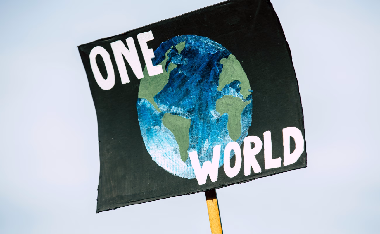 usa onu 2