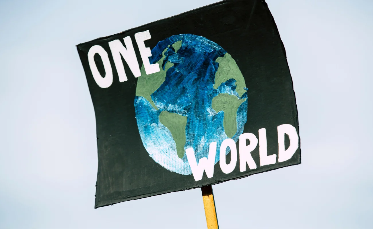 usa onu 2