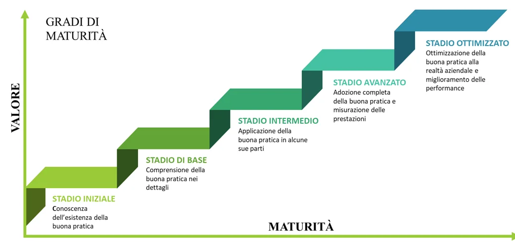 modello di maturit&agrave; - buone pratiche