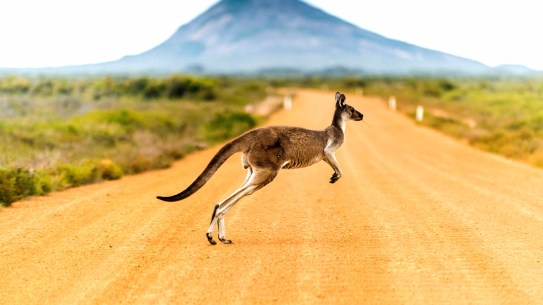 australia copertina