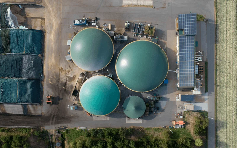 bioenergia
