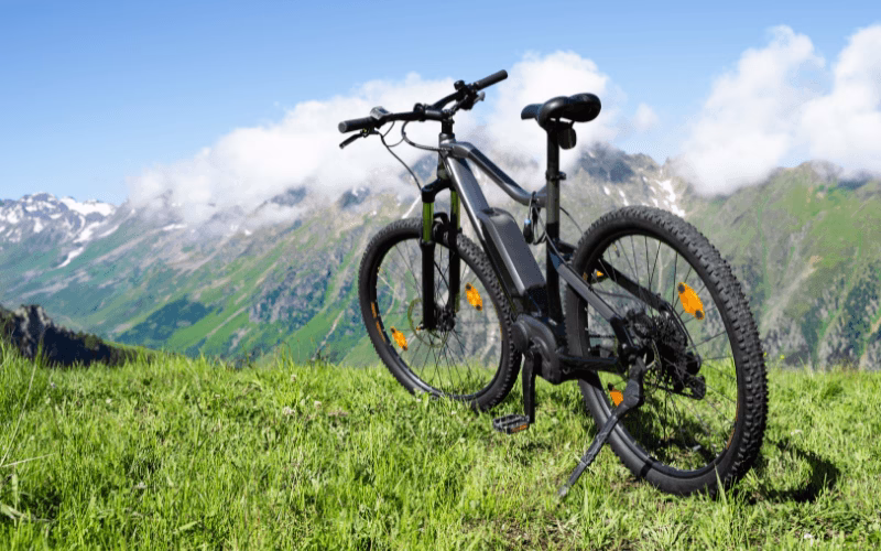 bici elettrica