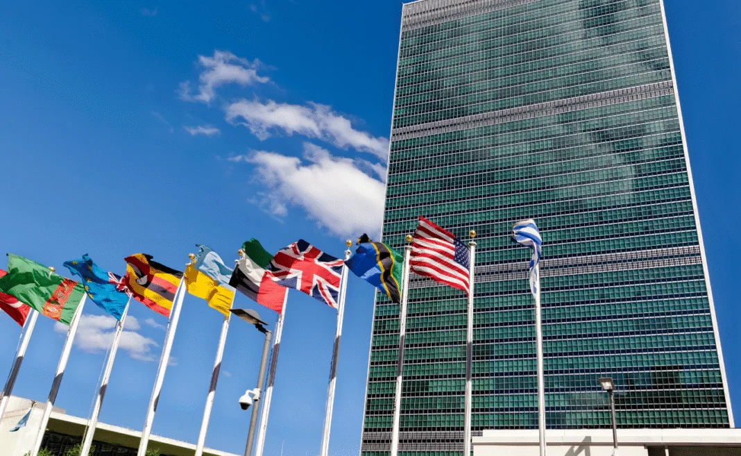 usa onu copertina