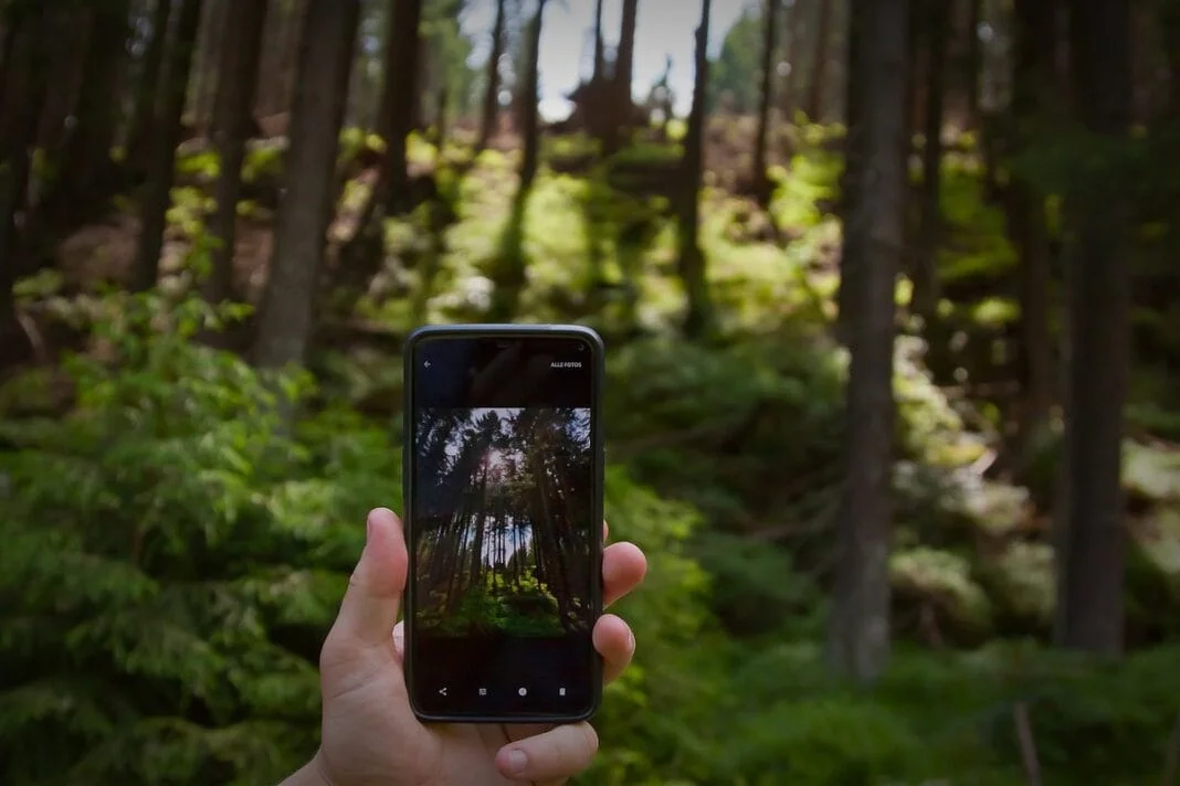 forestsharing