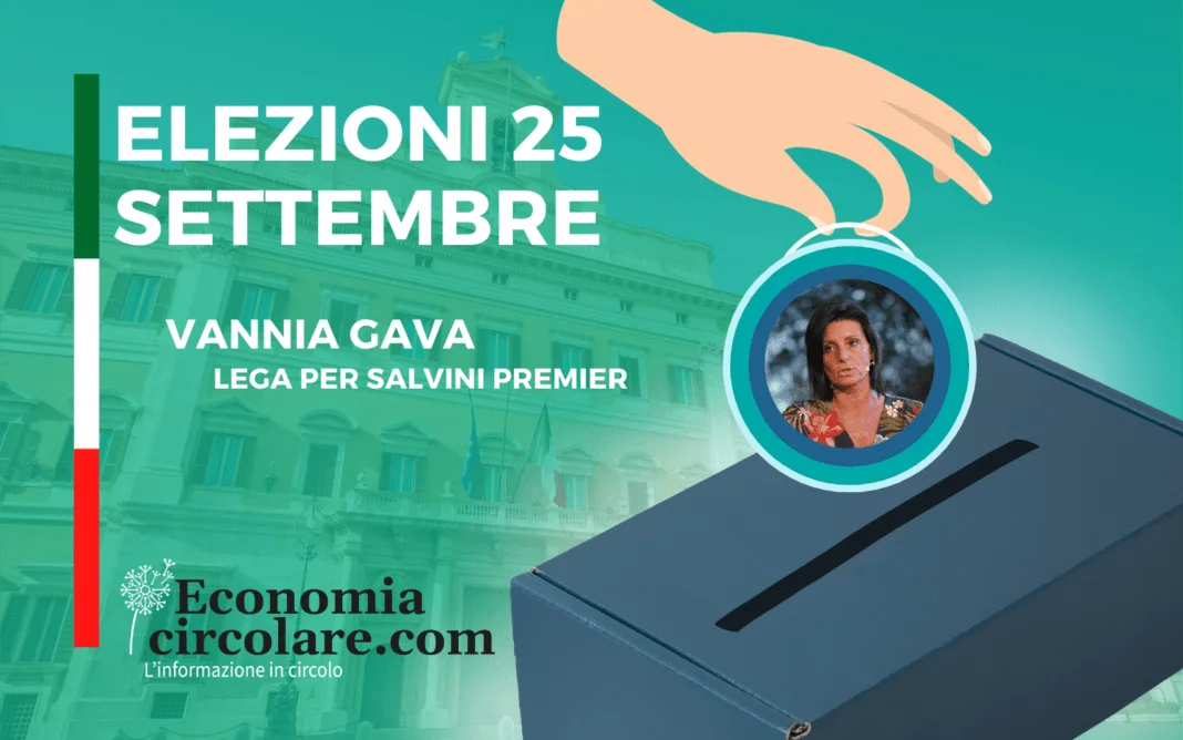 elezioni