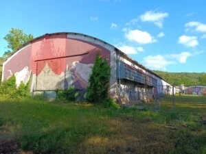 Agripunk allevamento