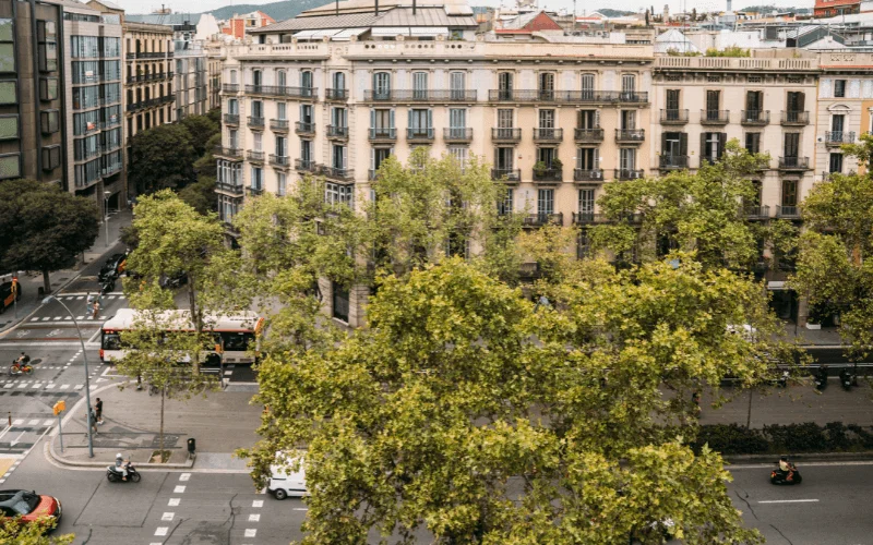 citt&agrave; femministe