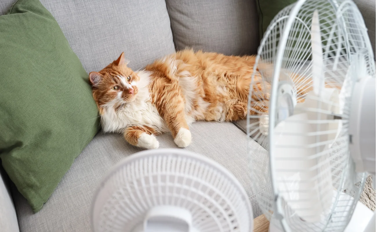 aria condizionata caldo ventilatori