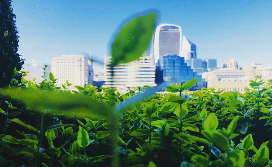 Ocse citt&agrave; circolari e ambiente costruito