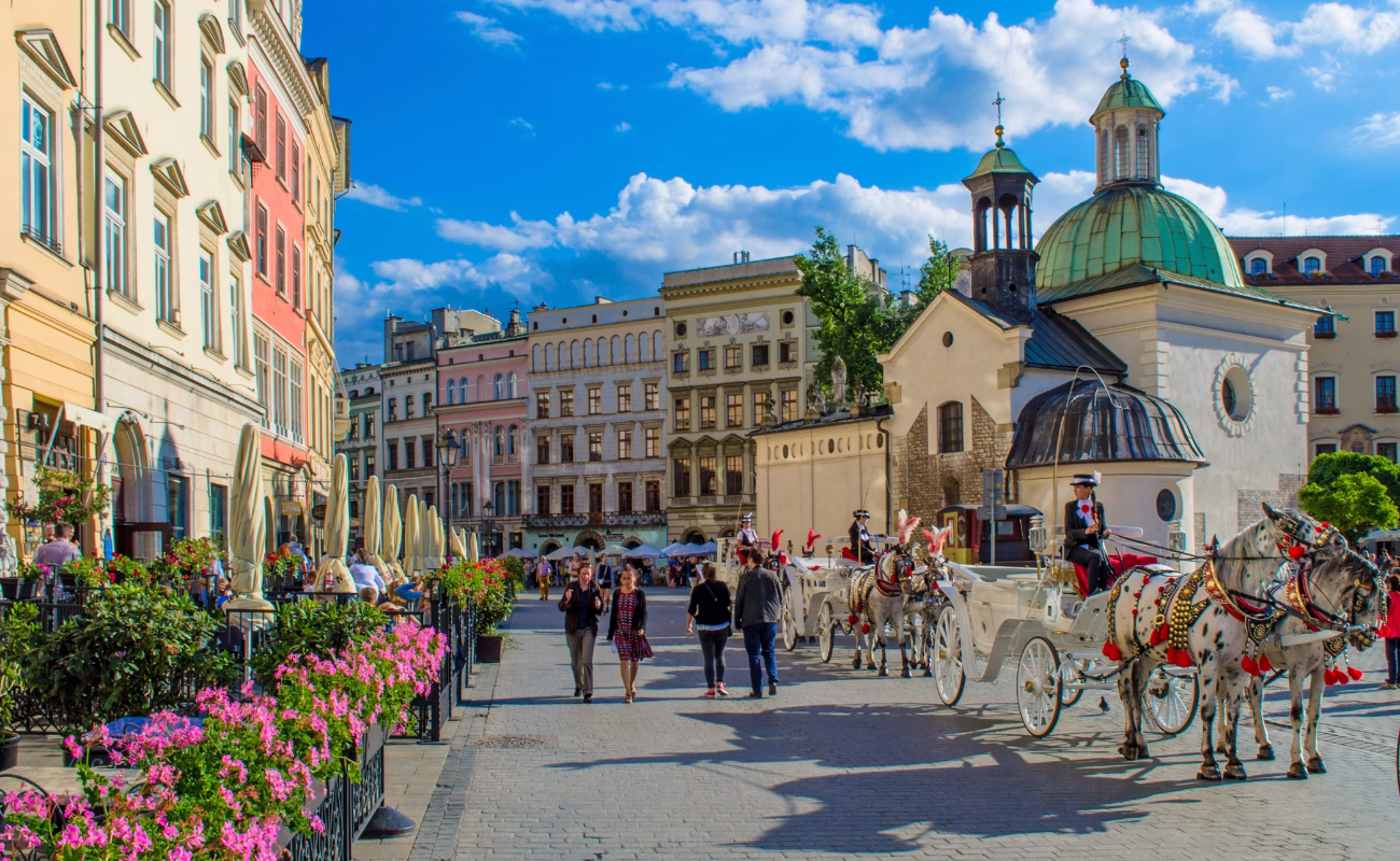 zero waste europe 1