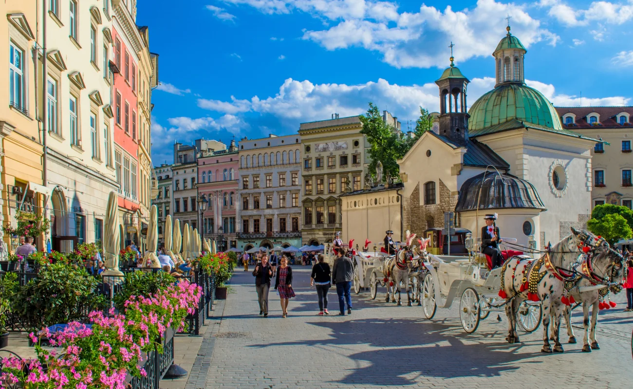 zero waste europe 1