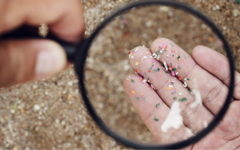 microplastiche