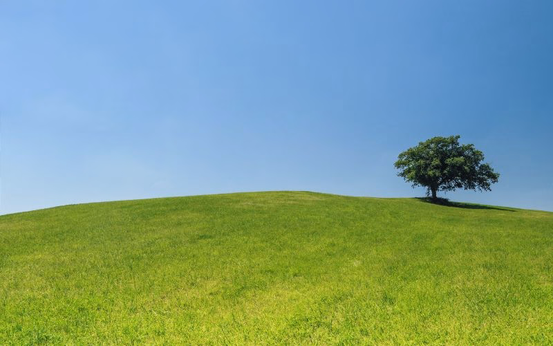 natura Nature restoration