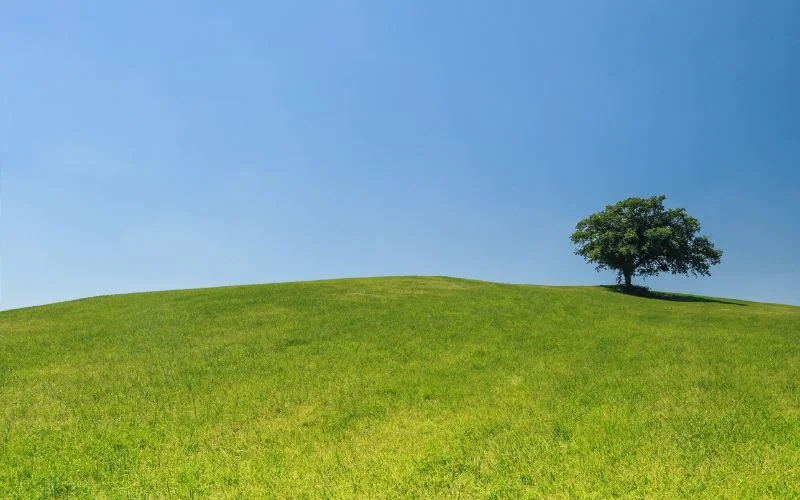 natura Nature restoration