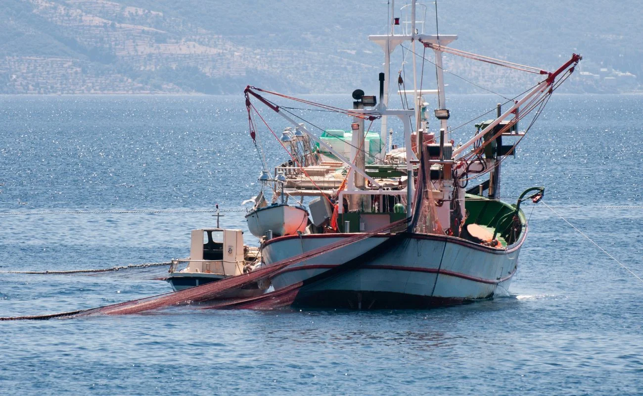 sussidi pesca intensiva  WTO