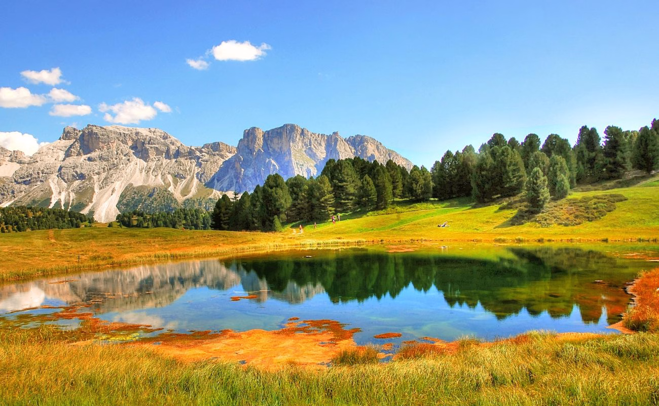 nature restoration law ripristino natura 