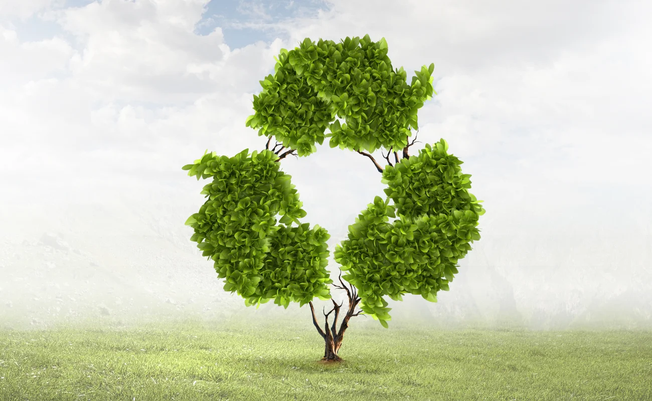 bioeconomia copertina