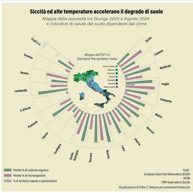 suolo grafico