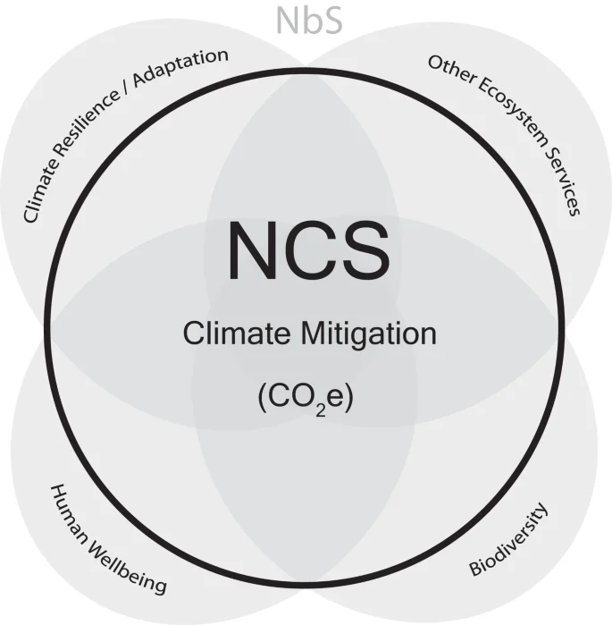 soluzioni climatiche naturali NCS