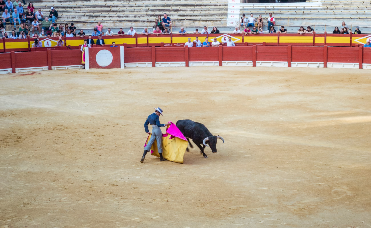 Marie Huot corrida