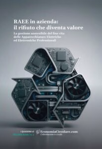 Guida RAEE Professionali