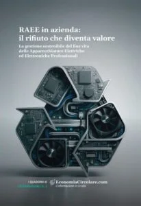 Guida RAEE Professionali