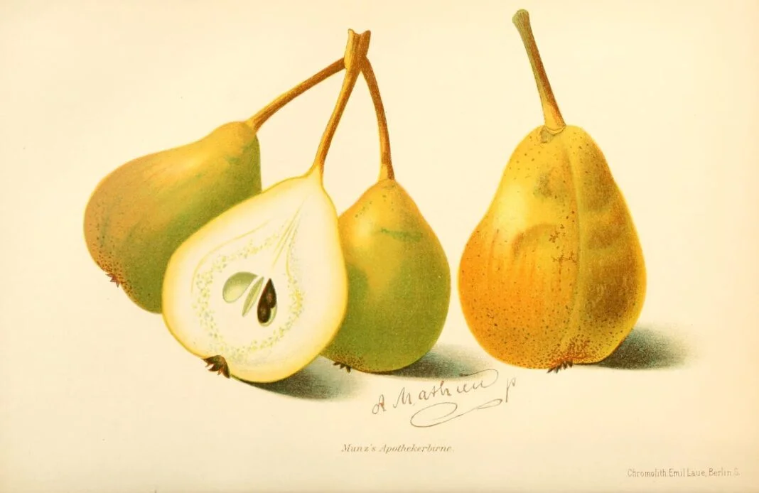 biodiversity copertina