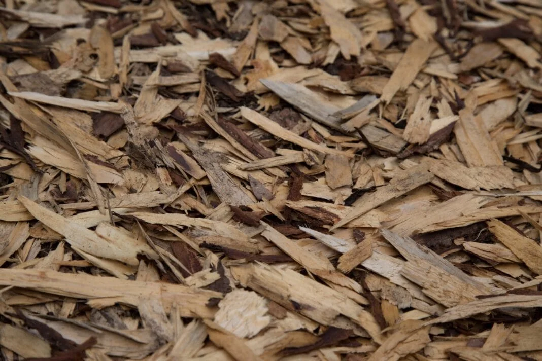 cippato legno energia