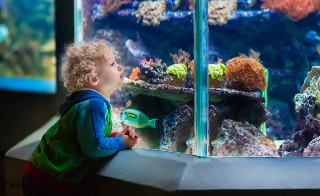 acquario copertina