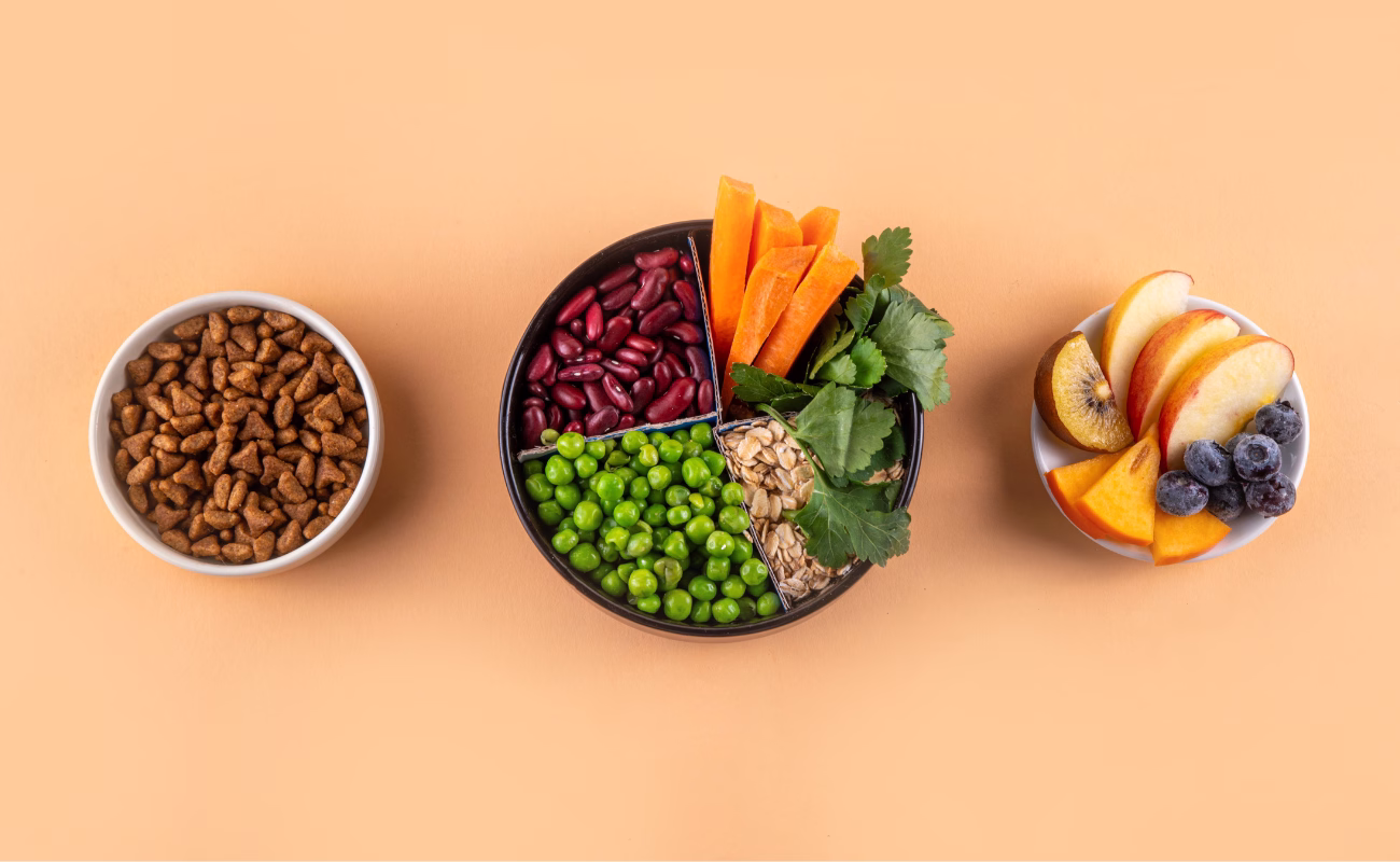 dieta vegeteriana