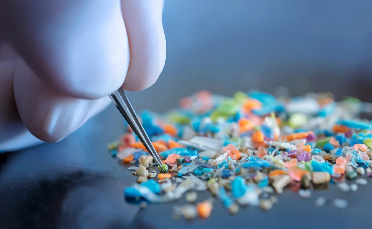 Microplastiche