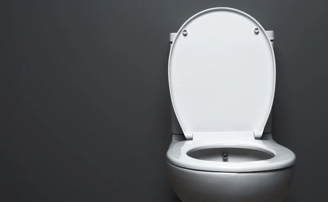 world toilet day