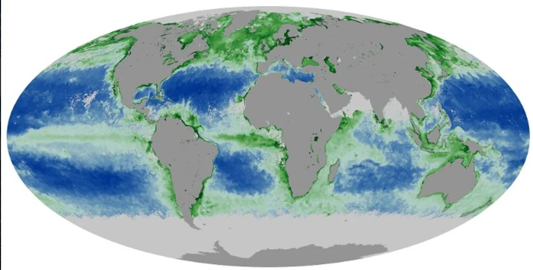 oceani mare desertificazione