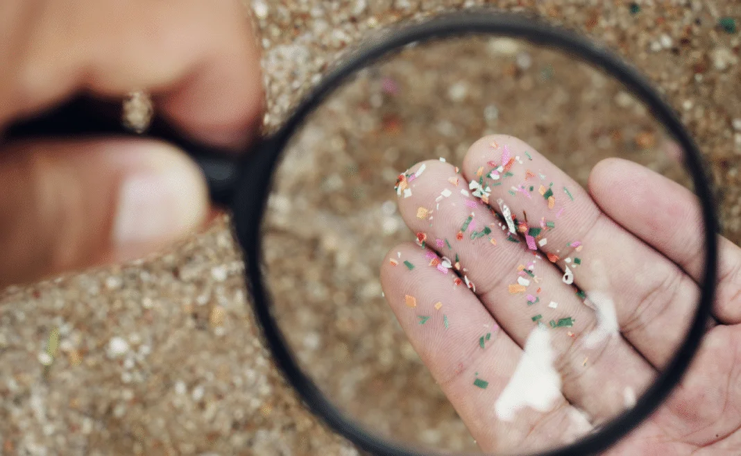 Microplastiche