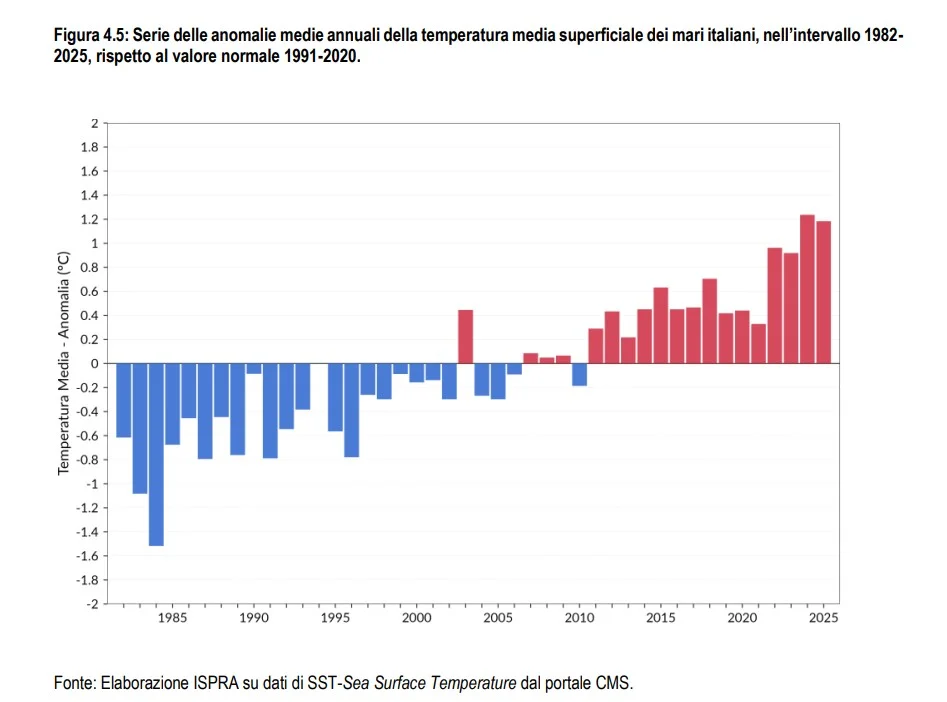 temperature mari caldi clima ISPRA SNPA copernicus