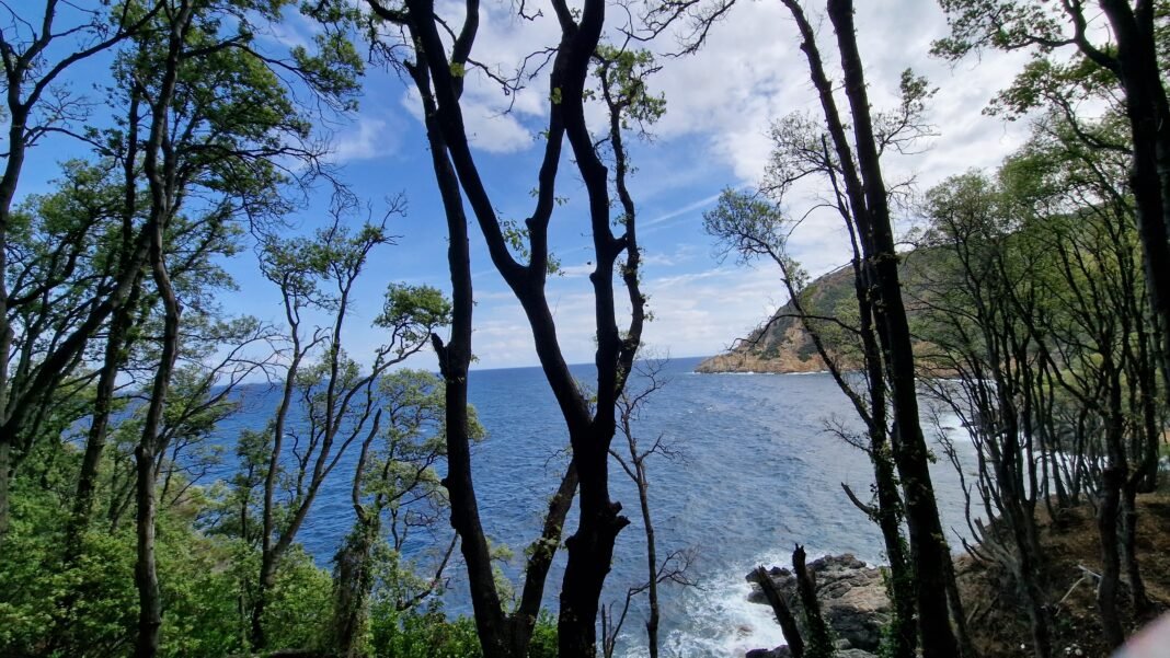 isola d'elba