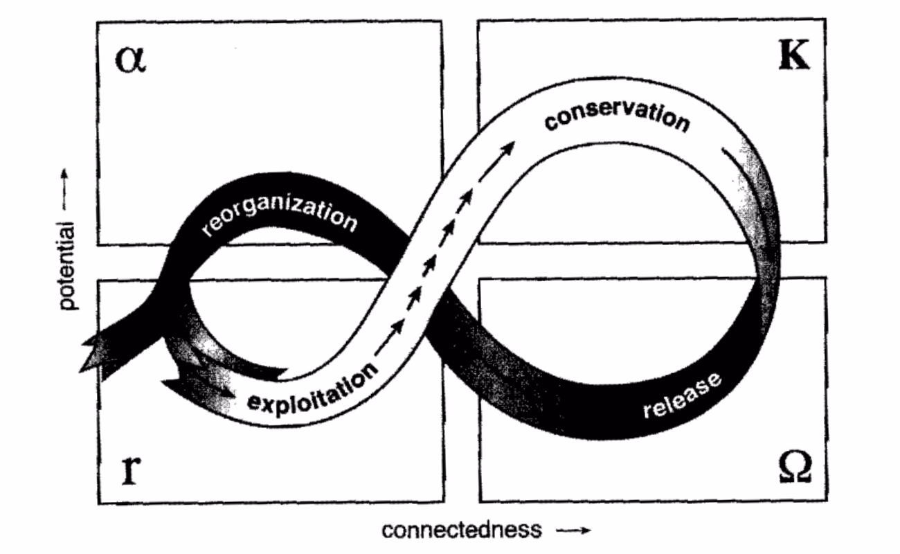 capitalismo - ciclo adattivo