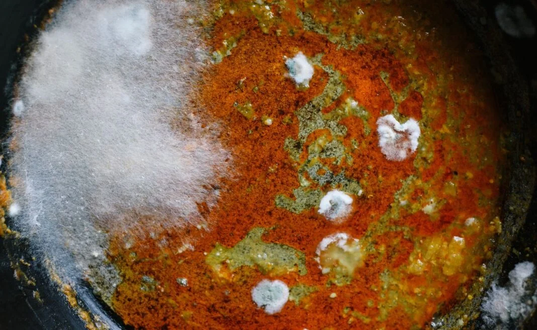 micotossine clima
