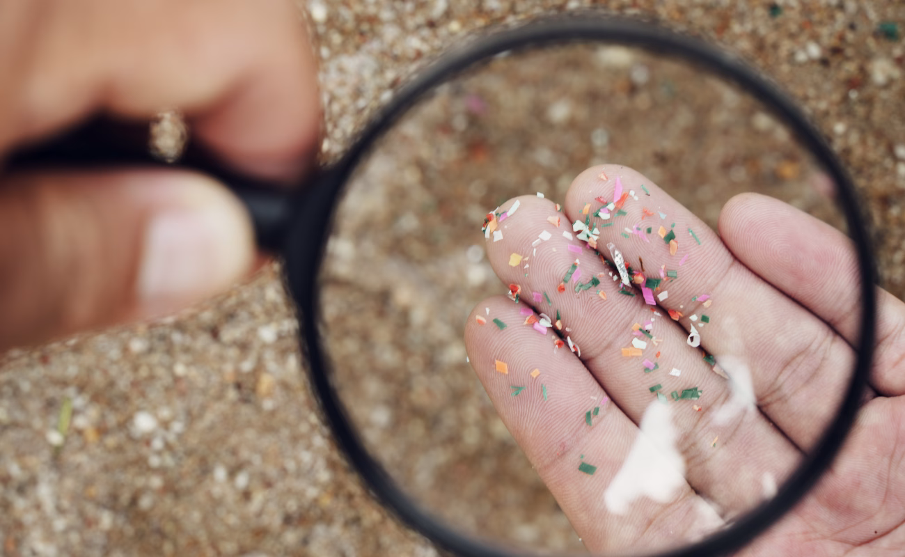 Microplastiche