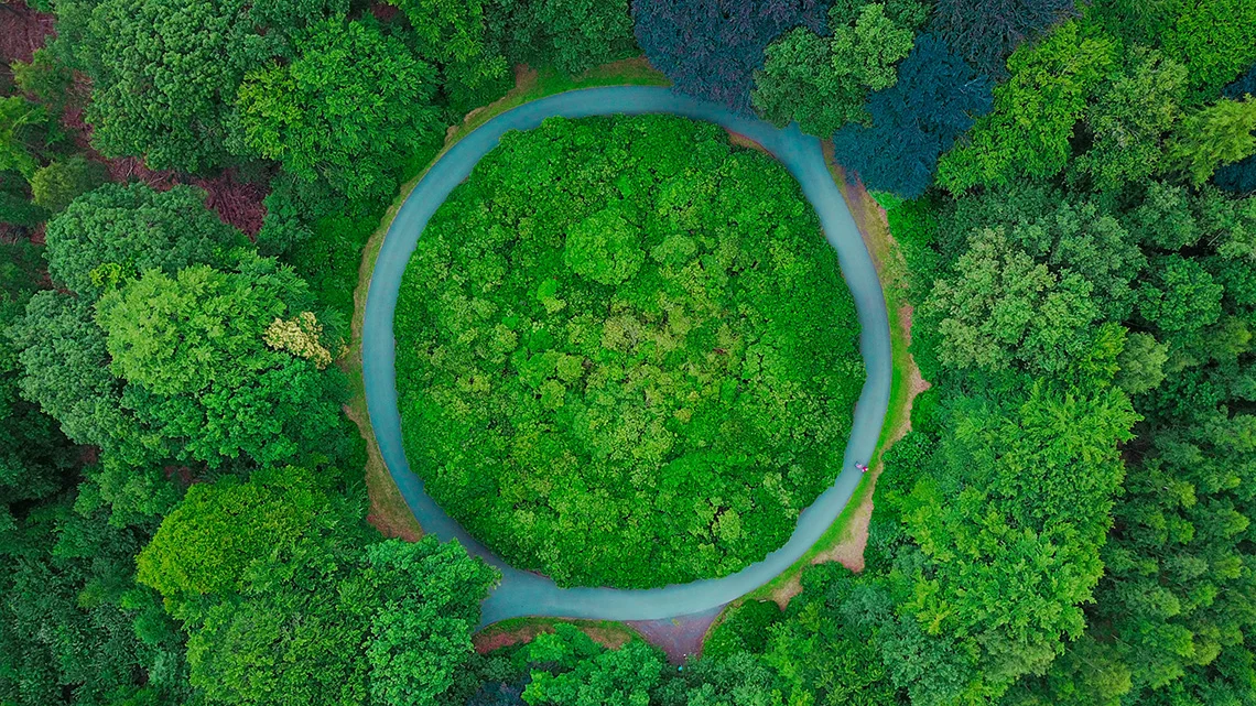 Il ruolo delle foreste nel primo quaderno-italiano-di-economia-circolare