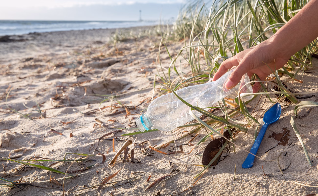 plastic tax