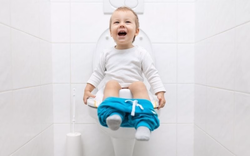 feci pip&igrave; biogas