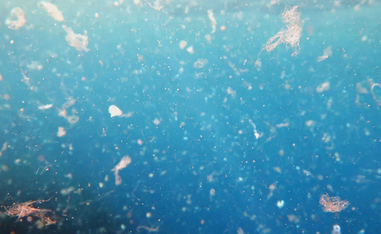 Plastica solubile in acqua