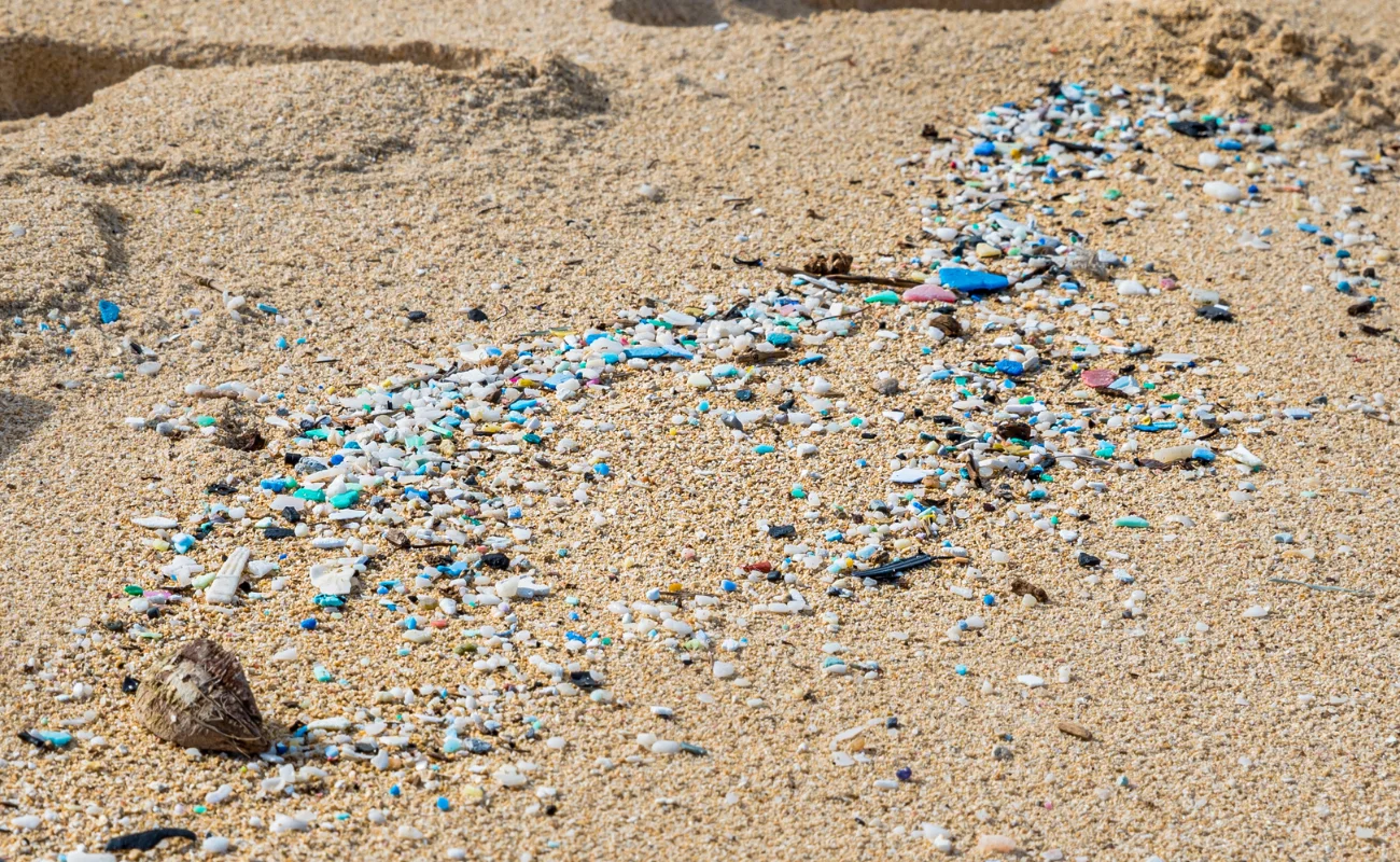 Microplastiche